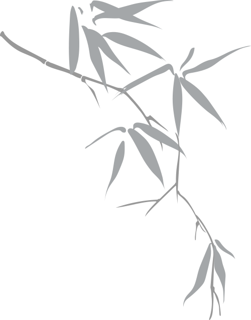 2024.5.19-3.png