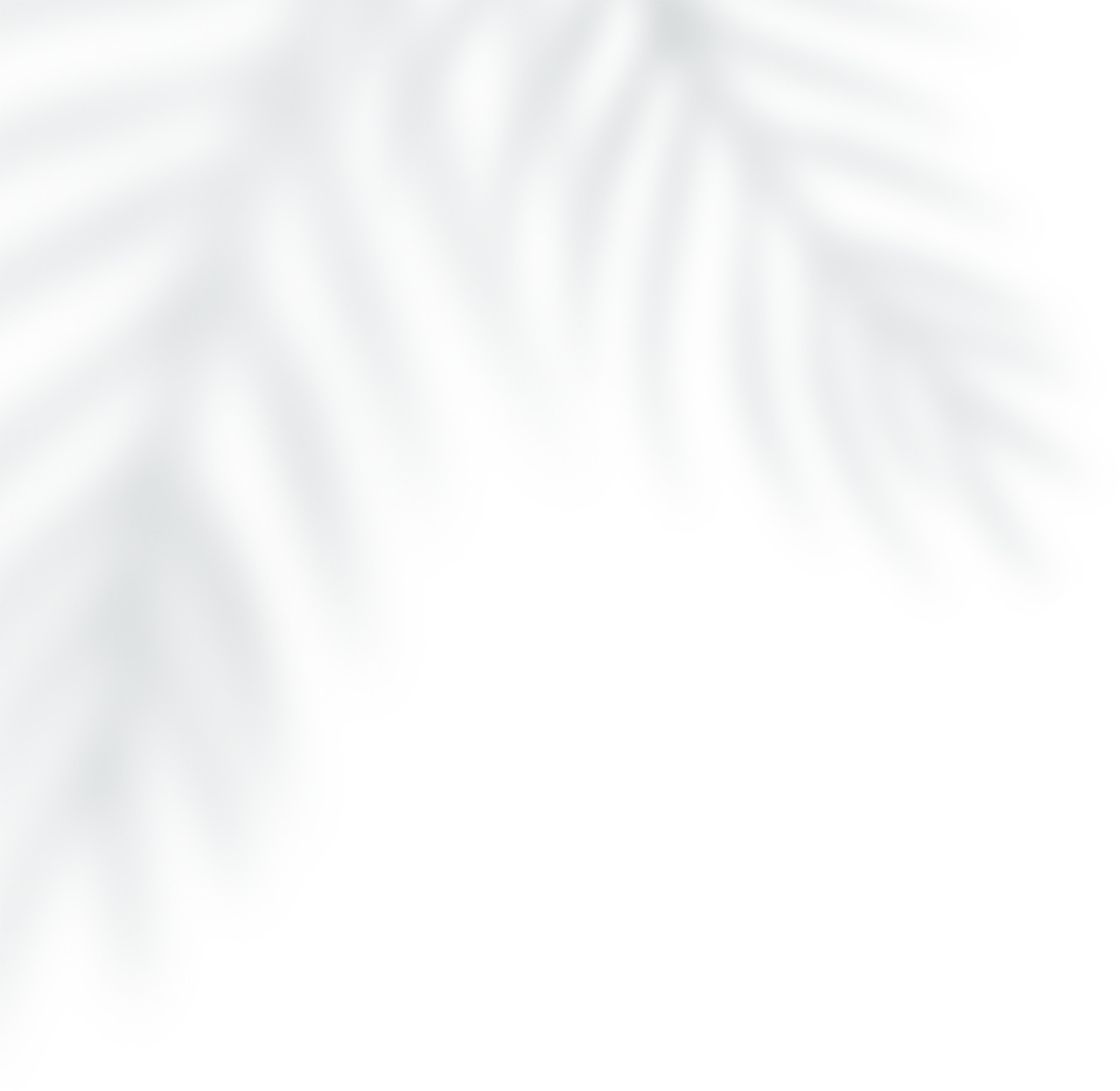 2024.5.26-1.png
