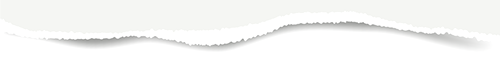 2024.11.7-4.png