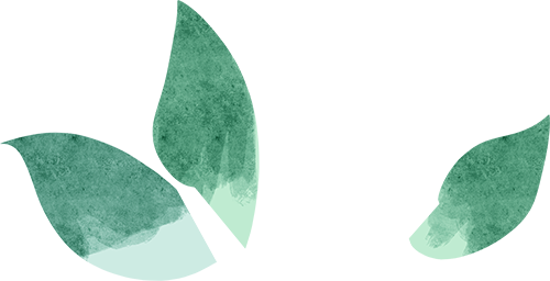 2024.11.18-3.png