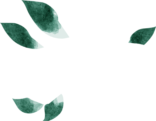 2024.11.18-4.png