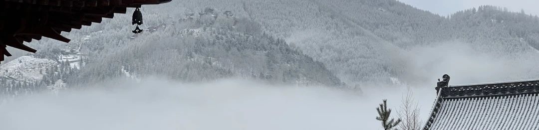 2024.12.6-3.jpg